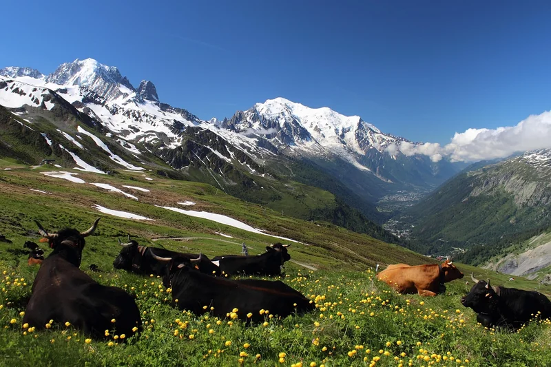 Le Grand Classique : le Tour du Mont-Blanc