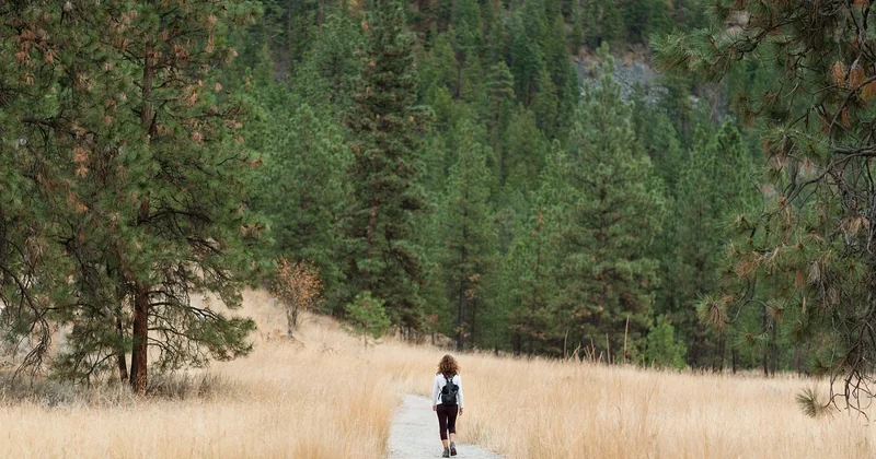 Objet de voyage tourisme : la différence avec l'aventure
