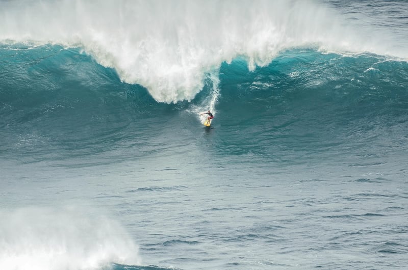 surfeur