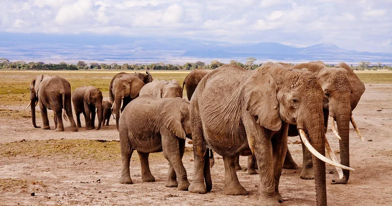 Quel parc national choisir selon l'âge de vos enfants