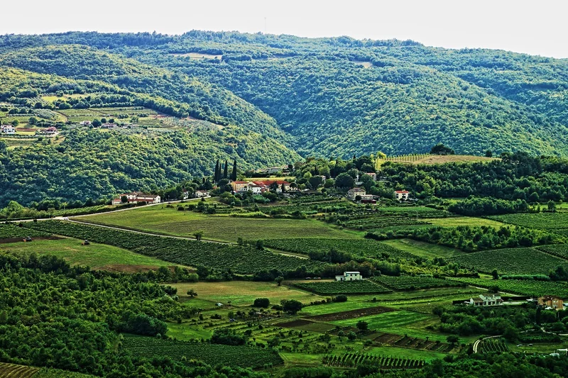 Écotourisme et expériences authentiques